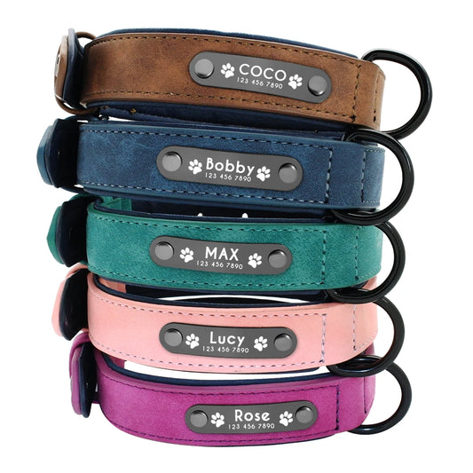 Personalized Leather Padded Dog Collar