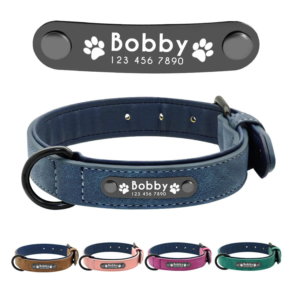 Personalized Leather Padded Dog Collar